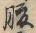 腹，已得其位