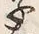 Character 文