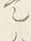 “ホ”字