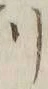 “削”字