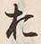 「お」字