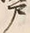 文字 戸