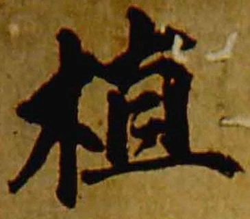 植，已得其位