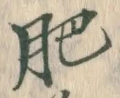 Chữ 肥
