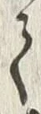 文字 並