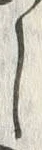 Character 病