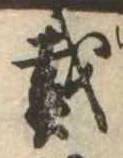 位置 確認된 戴