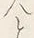 「い」字