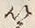 Chữ 筈