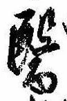 位置定マレル未定