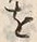 文字 与