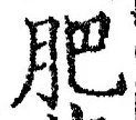 Chữ 肥