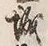 “城”字