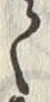 Character 立