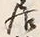 Character 住