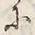 文字等