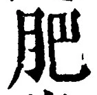 Chữ 肥