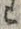 Chữ 主