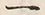 “生”字