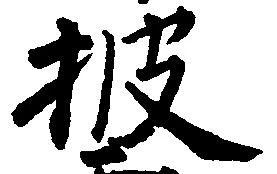 位置 確認된 披