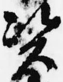 位置 確認된 資