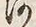 「河」字