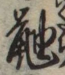 已定位鼬