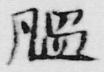 文字 脳
