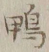 字鴨