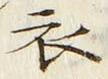 字衣