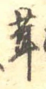位置定マレル茸
