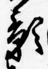 位置 確認된 影