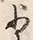 Character 少