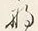 𡨸な