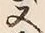 𡨸又