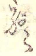 Đã định vị 終