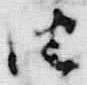 “由”字