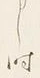 Character り