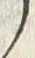 「今」字