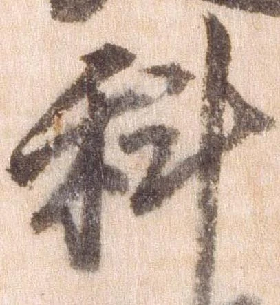 科の位置