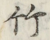 文字竹