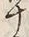 字十