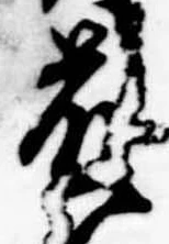 已定位藤