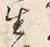 “生”字