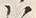 字緩