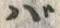 字バ