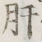 已定位肝