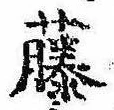 已定位藤