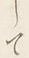 「樹」字