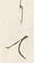 字よ